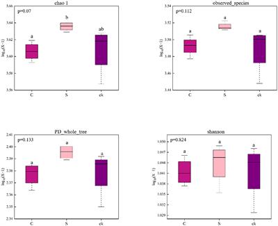 Effects of intercropping teak with Alpinia katsumadai Hayata and Amomum longiligulare T.L. Wu on rhizosphere soil nutrients and bacterial community diversity, structure, and network